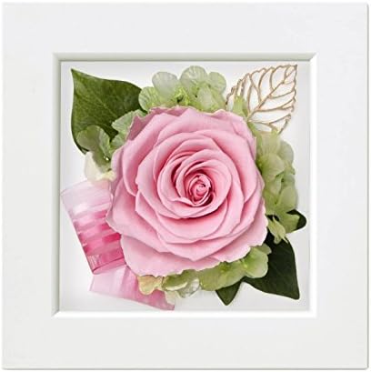 dekohure-mu 1 Wheel Pink sd6110wp sd6110wp