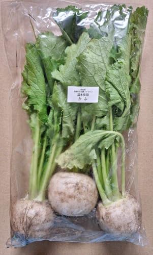 y_zQn@ky̏ԁi3`5j500gP@x2Zbgy①z