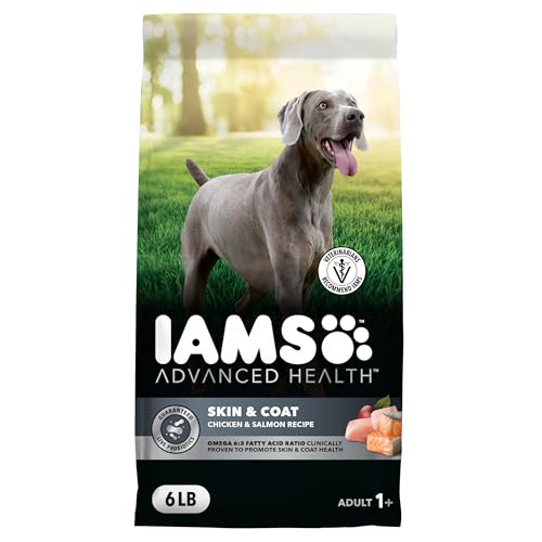 IAMS Advanced Health Skin & Coat Adult Dry Dog Food Chicken and Salmon Recipe, 6 lb. Bag