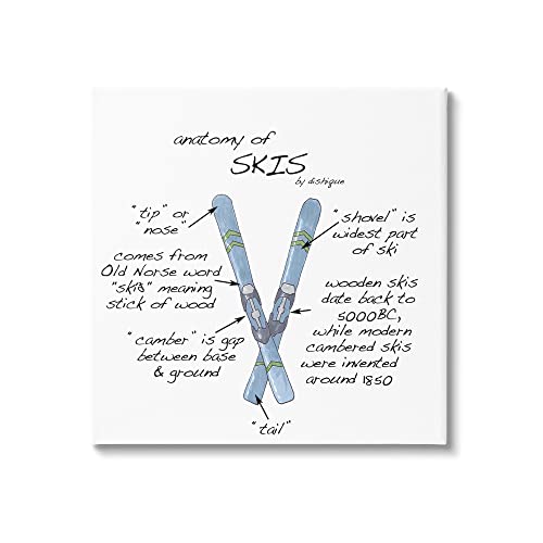 Image of 'Anatomy of Skis Winter Sports Diagram Facts'| Canvas Art | Stupell Industries | 17 x 17 Inches, Easy to Hang and Sturdy, Made in USA, by Dishique