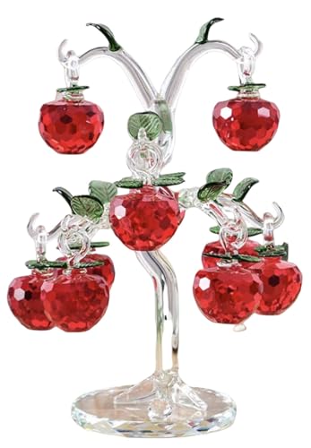 XinYiRich NX^Abvc[I[ig 邢 ^Abv ֏ 񂲒u NX^KX p[Xg[  z[ KĂ ACe ObY v[g (bh,S10)