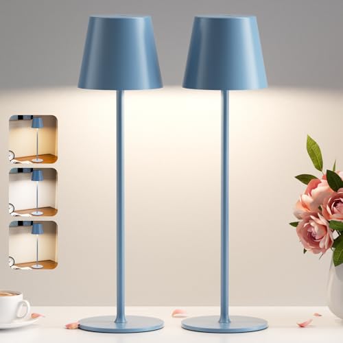 PreeOtti 2 Pezzi Lampada da Tavolo Senza Fili, Touch Dimmerabile,