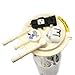 Delphi FG0509 Fuel Pump Module