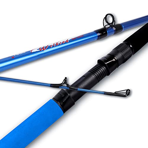 10 Best Hellcat Fishing Rods [2023 Collection] Beach Road Villas