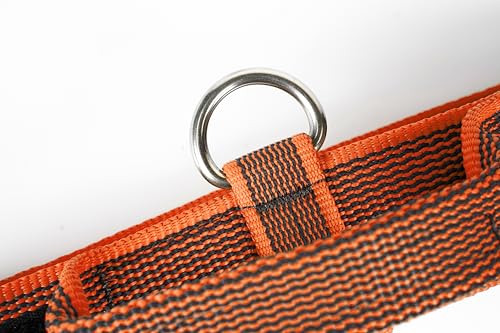 Julius-K9 200HA-K-OR-2015 Color & Gray Halsband mit Haltegriff, Sicherheitsverschluss und Logo, 50 mm (49-70 cm), Orange-Grau