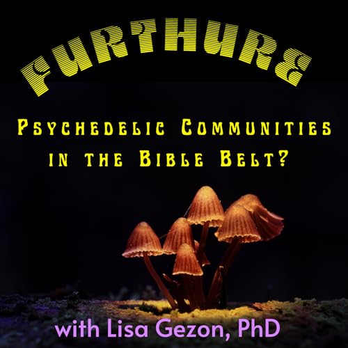 Page de couverture de Psychedelic Communities in the Bible Belt?
