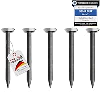 30 Bildernägel mit 25mm Länge – Stahlnägel für den Einsatz auf Beton, Ziegelstein, Putz & Holz – Nägel aus gehärtetem Stahl als Bilder Aufhängung – Made in Europe (Silberner Kopf, 25 mm)