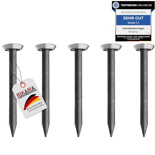 30 Bildernägel mit 25mm Länge – Stahlnägel für den Einsatz auf Beton, Ziegelstein, Putz & Holz – Nägel aus gehärtetem Stahl als Bilder Aufhängung – Made in Europe (Silberner Kopf, 25 mm)