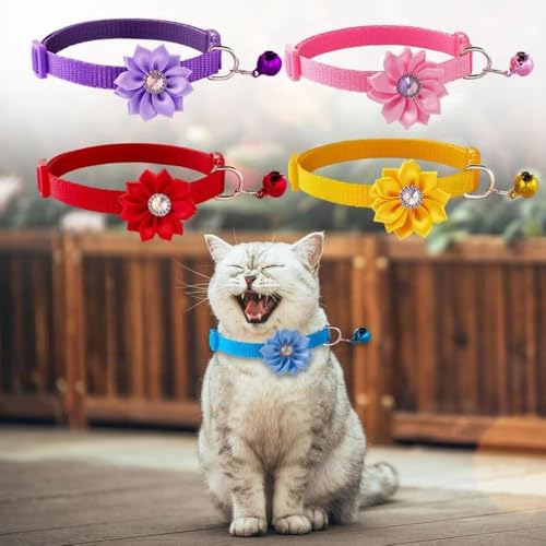 Collar de cachorro con campana floral contra pérdidas de mascotas pequeñas 7