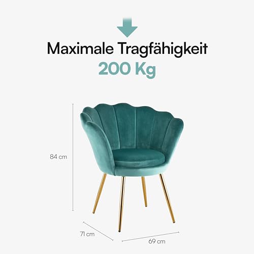 Baroni Home Gepolsterter Sessel mit Muschel-Rückenlehne aus Tiffany-Samt mit goldfarbigen Beinen, Sessel für Wohn- und Schlafzimmer, 69x71x84 cm – Bild 4