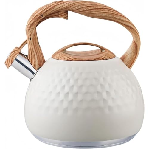 ITMEAT₩3LJPgXeXؖڒnh^b`{^LeIHΉKXΉƑp (ItzCg)