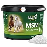 BiviPet MSM Pulver für Pferde – 1,9 kg | 100% reines MSM ohne Zusätze | Für Gelenke, Beweglichkeit, Sehnen & Hufe | Eimer mit Tragegriff inkl. Dosierlöffel | Made in Germany