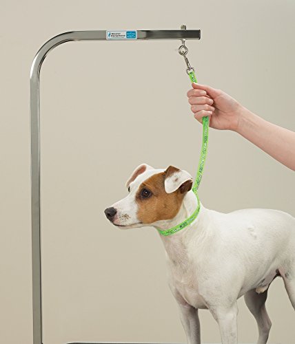 Top Performance Basic Grooming Loops - Versatile Nylon Loops To Secure Dogs On Tabletops While Grooming - 18", 4-Pack #TOP3