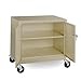 Sandusky Lee TA11362430-05 Transport Work Height Storage, 36" W x 24" D x 36" H, Dove Gray