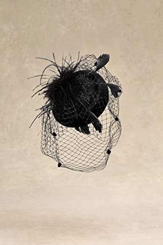 Babeyond Fascinator Hat Veil Feather Fascinators Hair Clip Tea Party Pillbox Derby Hat Fascinator Bridal Wedding Veil #TOP1