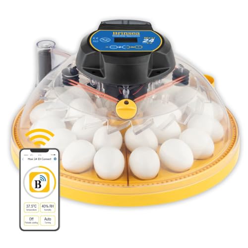 Brinsea Maxi 24 EX Connect Incubateur complet contrôlé par application pour 24 œufs de poule