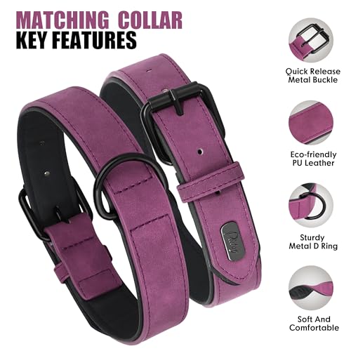 Image of Didog PU Leather Dog Collar and Leash Set, Soft Padded, Purple, Neck 18-22 inch