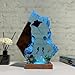 Handmade 3D Ocean Resin Lamp - USB Powered Resin Ocean Night Light with Wooden Base, Variable Lights, Scuba Diver Gifts, Diving Enthusiast Collectibles, Unique Thanksgiving Day and Christmas Gifts