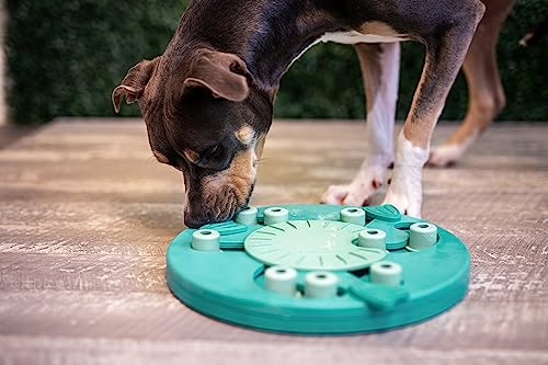 Outward Hound by Nina Ottosson Dog Worker Treat Puzzle Enrichment Toy, Level 3 Advanced, Green, Dog Worker (Green)
