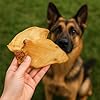 Pet Craft Supply 16 Pack Grass Fed Water Buffalo Ear, All Natural, Single Ingredient, Pig Ears for Dogs Alternative Long Lasting Dog Chew Treat for Aggressive Chewers, Small to Large Dogs #2