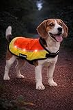 Regenmantel Hund - Sicherheitsweste Simi Fluo orange LED Größe M - 40 cm - wasserdicht - reflektierend - USB-aufladbar