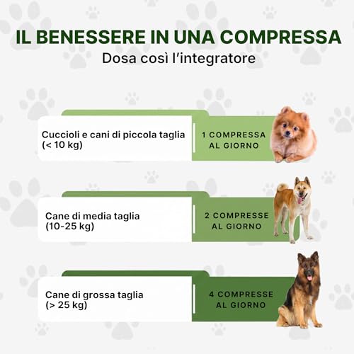 Longevity Pet ProbioticPet Cane 30 Compresse | Probiotici per Cani | Probiotico Digestivo per Cani | Integratori per cani | Supporto per Diarrea Cane, Flora Batterica e Digestione | Made in Italy - 5