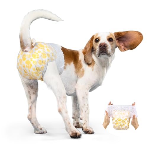 Top 10 Best Diapers For Pugs Reviews In 2024 Glory Cycles