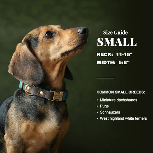 Image of Personalized Dog Collars, Quick Release Buckle, Light Blue,S