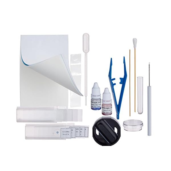 amscope m100 C-led-sp14-e 40 x-1000 x Student Biologische Field Mikroskop mit LED-Beleuchtung + Kamera + Slide Vorbereitung Kit – Bild 4