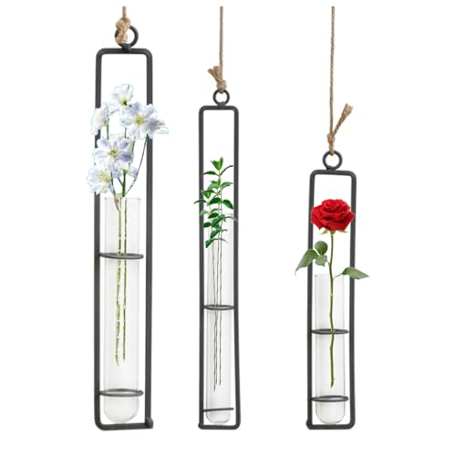 Vastsea Lot de 3 vases en verre en fer forgé - Pour fleurs, plantes aériennes suspendues - En métal - Décoration murale créative - Pour plantes d'intérieur - Noir
