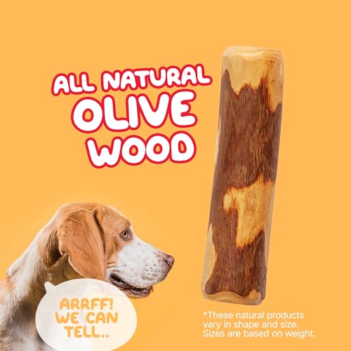 Little Loyals - 100 % natürliches Premium-Olivenholz für Hunde (mittel)