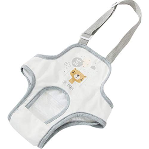Couches lavables pour chiot et culottes physiologiques réutilisables
