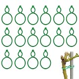 100 anelli verdi per piante - Clip di supporto per piante da giardino, anelli attorcigliati per fissare viti, steli e fiori per crescere in posizione verticale - Clip di supporto per piante