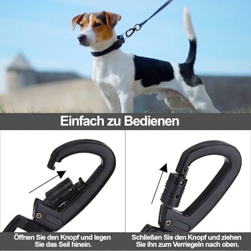 Buaak 2 Stück Karabinerhaken mit Drehgelenk, Karabiner Hundeleine, Karabinerhaken mit Drehgelenk, Edelstahl Karabiner, Drehgelenk für Hundeleine,Bergsteigen, Schlüsselbund