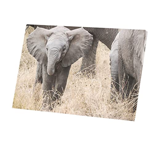 Bébé éléphant de la savane : affiche poster pour chambre enfant