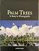 Palm Trees: A Story in Photographs