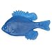 Nasco 9719399 Life/form Fish Replica, Mini Blue Gill, 5-1/2" x 3-1/2"