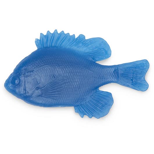 Life Form 9719399 Life/form Fish Replica Rubber Stamp, Mini Blue Gill, 5-1/2" x 3-1/2"