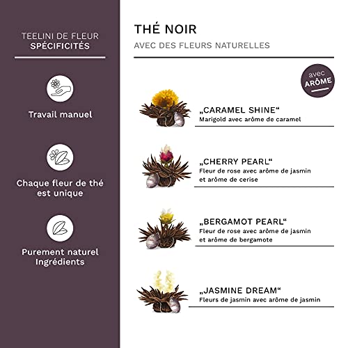 Creano Coffret Magnétique Teelini 6 pcs – Fleurs de Thé Noir en Portion de Tasse – 4 Saveurs Aromatiques – Idée Cadeau Anniversaire, Collègue & Bureau – vue 4