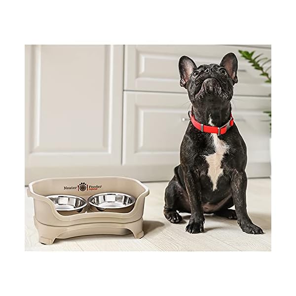 Pet Feeder for Small Dogs