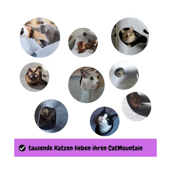 CatMountain® Katzenteppich Katzenspielzeug interaktives Katzenspielzeug Kitten Spielzeug für Deine Katze. – Bild 7