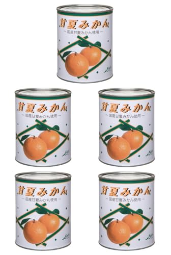 Xg[ʋl ÉĂ݂z[ 2×5 퉷(܂Ƃߔ) (VandroStEINDEXBOX)