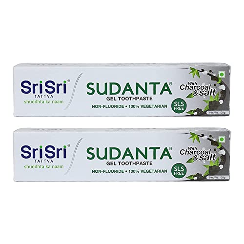 Dentifrice gel charbon Sri Sri Tattva sans fluor pour dents sensibles et haleine fraîche