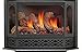 Napoleon GS350K Fireplace Door for GDS50 Gas Stoves - Painted Metallic Black