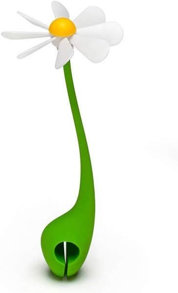 Steam Escapes Daisy Flower, Green/White