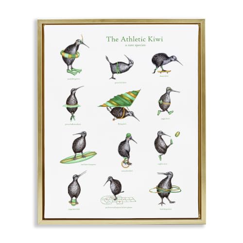 Kiwi Exercise Chart Bird Drawings, 16 x 20 Inch Canvas in Floater Frame