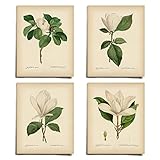 Vintage Pink Magnolia Minimal Floral Prints (4 PRINTS),Modern Wall Art Victorian Illustration UNFRAMED Modern Decorations,Boy Girls Teen Kids Baby,AC-1043-VINTAGE-8x10