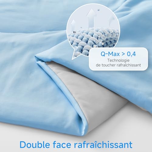 Couverture Rafraichissante D'été pour Lit et Canapé Homfine