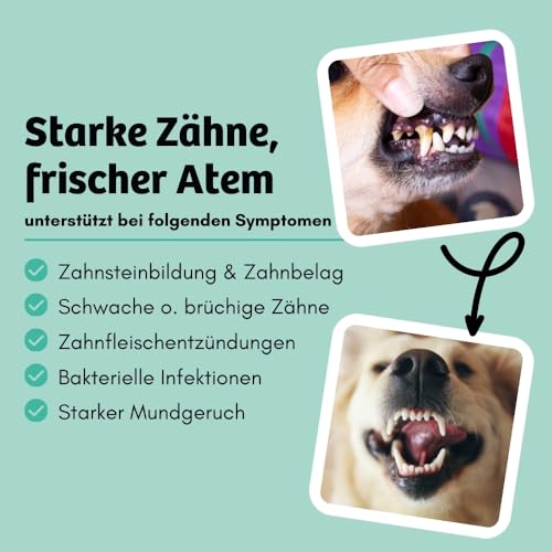 BugBell Softe Knabbersticks für Hunde 60g, Mundgeruch & Zahnstein, Fettreduziert & Pflanzlich, fördert angenehmen Atem & Zahnsteinreduzierung, Chlorella, Salbei, Pfefferminze
