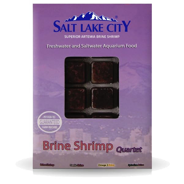 Frozen Brine Shrimp Quartet Fish Food x10 Packs